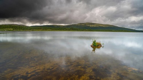 Overgrown rock in lake