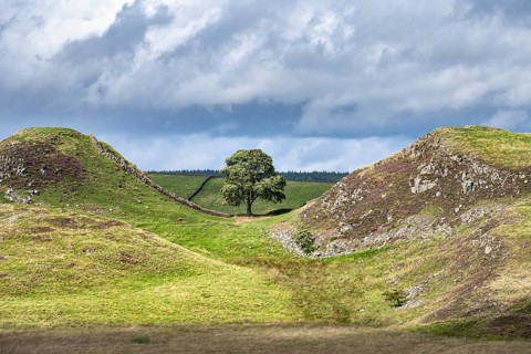 Sycamore Gap