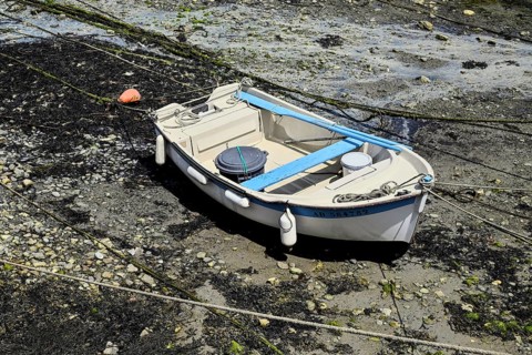 Small white boat