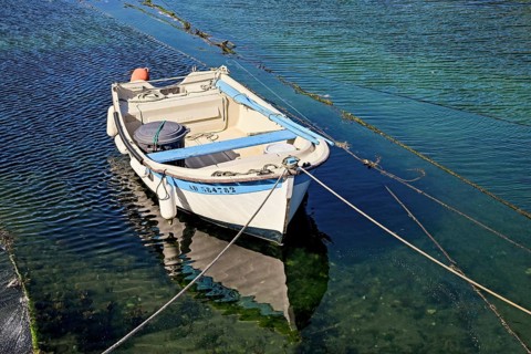 Small white boat