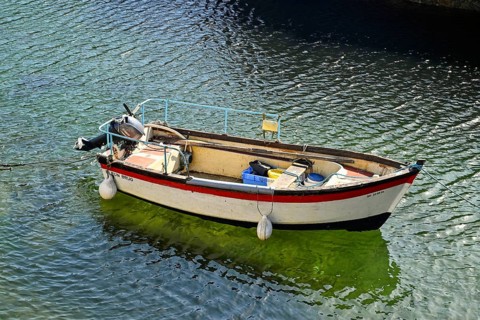Small white boat