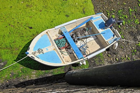 Small white and blue boat
