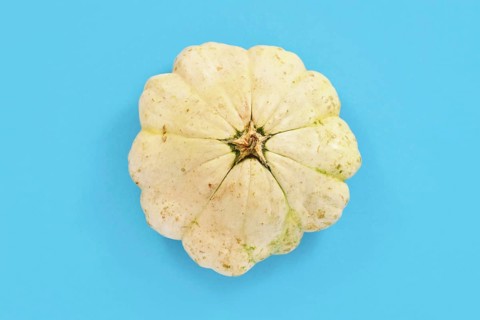 Top view of light yellow Pattypan squash with round and shallow shape and scalloped edges on blue background