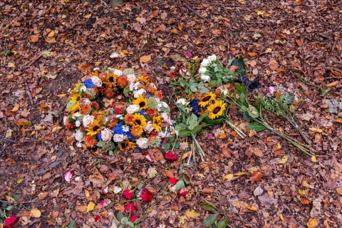 Flowers on autumn leaves in Seelwald