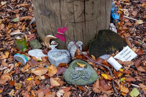 Mementos and stones in the shape of a heart on a memorial tree with the names of the buried