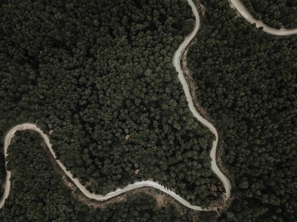 Aerial view winding road green tropical trees