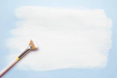 Arrangement brush paper with paint