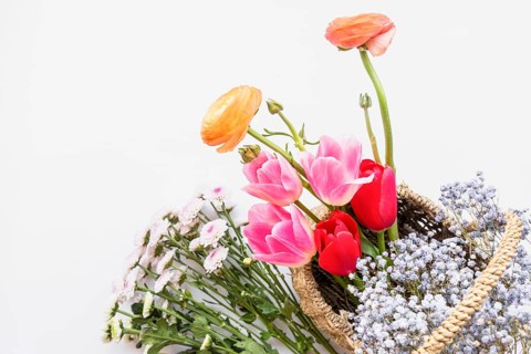 Arrangement flowers basket white background
