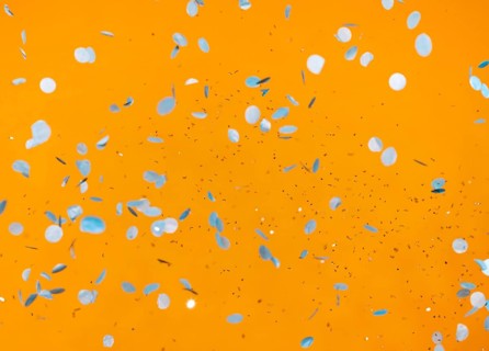 Arrangement party confetti orange wall