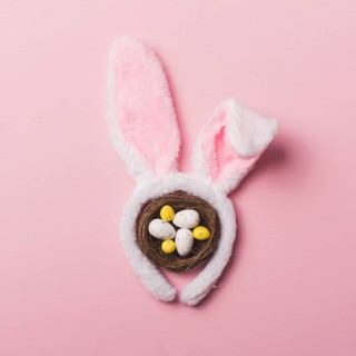 Bunny ears nest pink