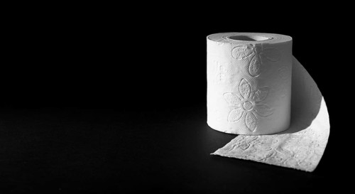 Copy space toilet paper roll