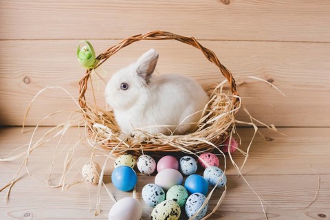 Easter eggs near rabbit basket