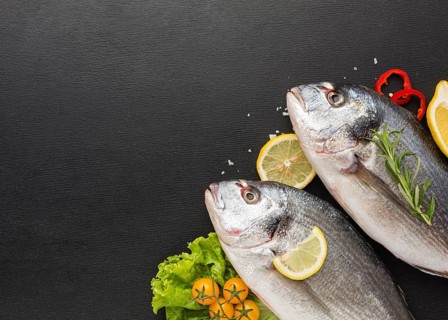 Flat lay fish frame with copy space