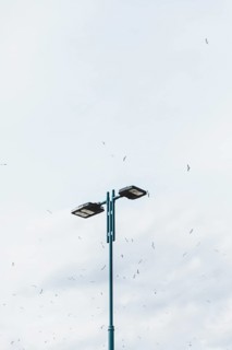 Flock birds flying street light against sky