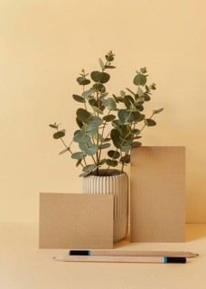 Natural material stationery arrangement