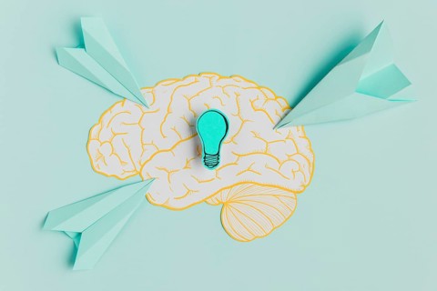 Paper airplanes pointing brain