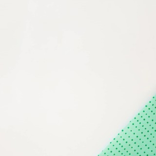 Polka dot green wrapped paper corner white background
