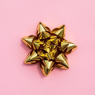 Poly ribbon bow top view