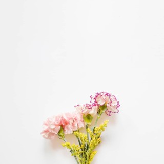 Pretty carnations yellow flowers