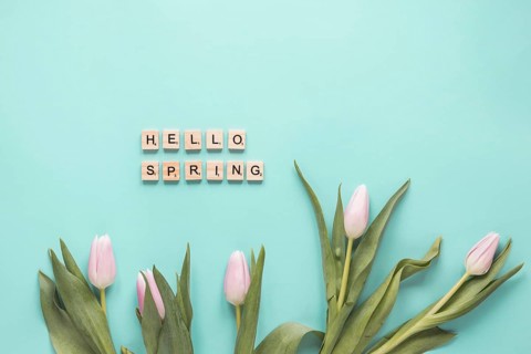 Set fresh tulips with green leaves hello spring words
