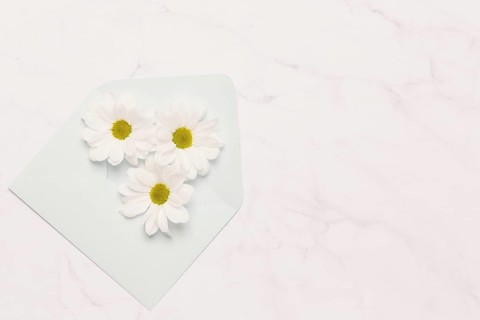 Three chamomiles envelope