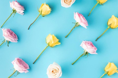 Top view blooming roses 3