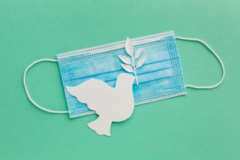 Top view paper dove with medical mask