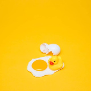 Yellow still life egg