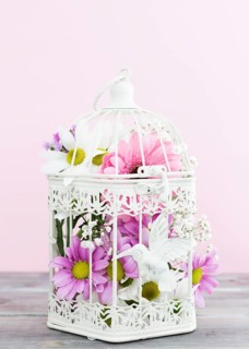Arrangement with bird cage full flowers