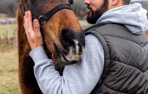 Close up man holding horse