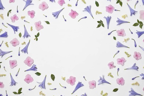 Collection wonderful violet flowers green foliage