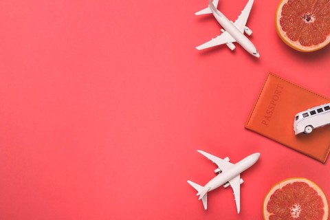 Composition toy airplanes bus passport grapefruit