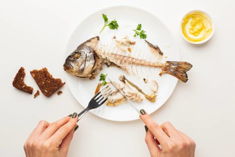 Cooked fish leftovers hands