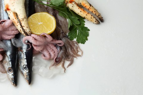 Copy space mix delicious seafood