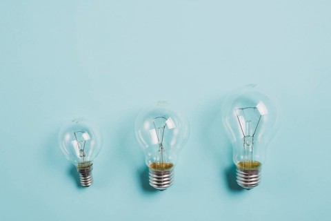 Growing up transparent light bulb blue background