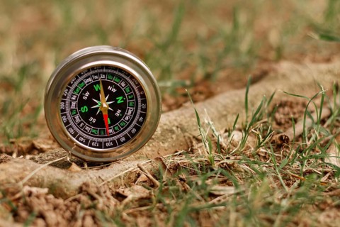 High angle compass nature