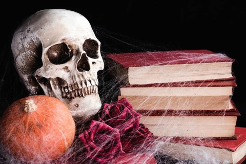 Human skull with roses spider web