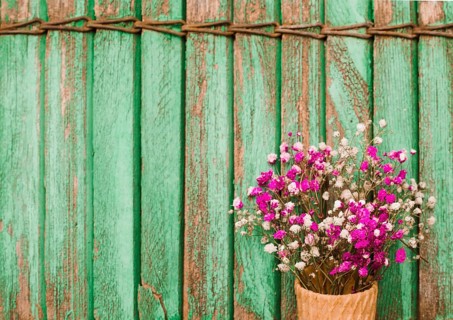 Pink baby s breath flowers against wooden shutters background