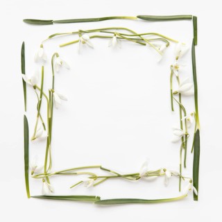 Square from leaves snowdrops