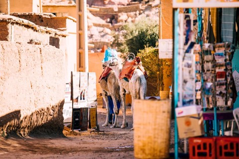 Street scene marrakesh