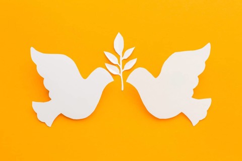 Top view paper doves with leaves