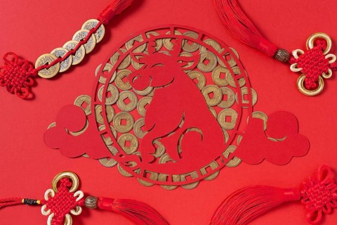 Chinese new year with ox concept
