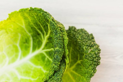 Close up green cabbage leaves