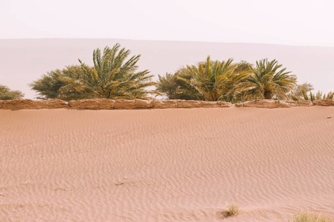 Desert landscape morocco