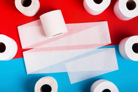Flat lay frame toilet paper rolls