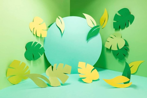 Front view summer concept with copy space