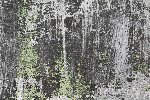 Grey green stained copy space slate wall