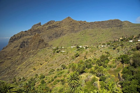 Masca