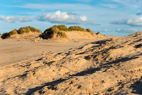 Travelling dune