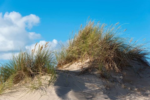 Travelling dune